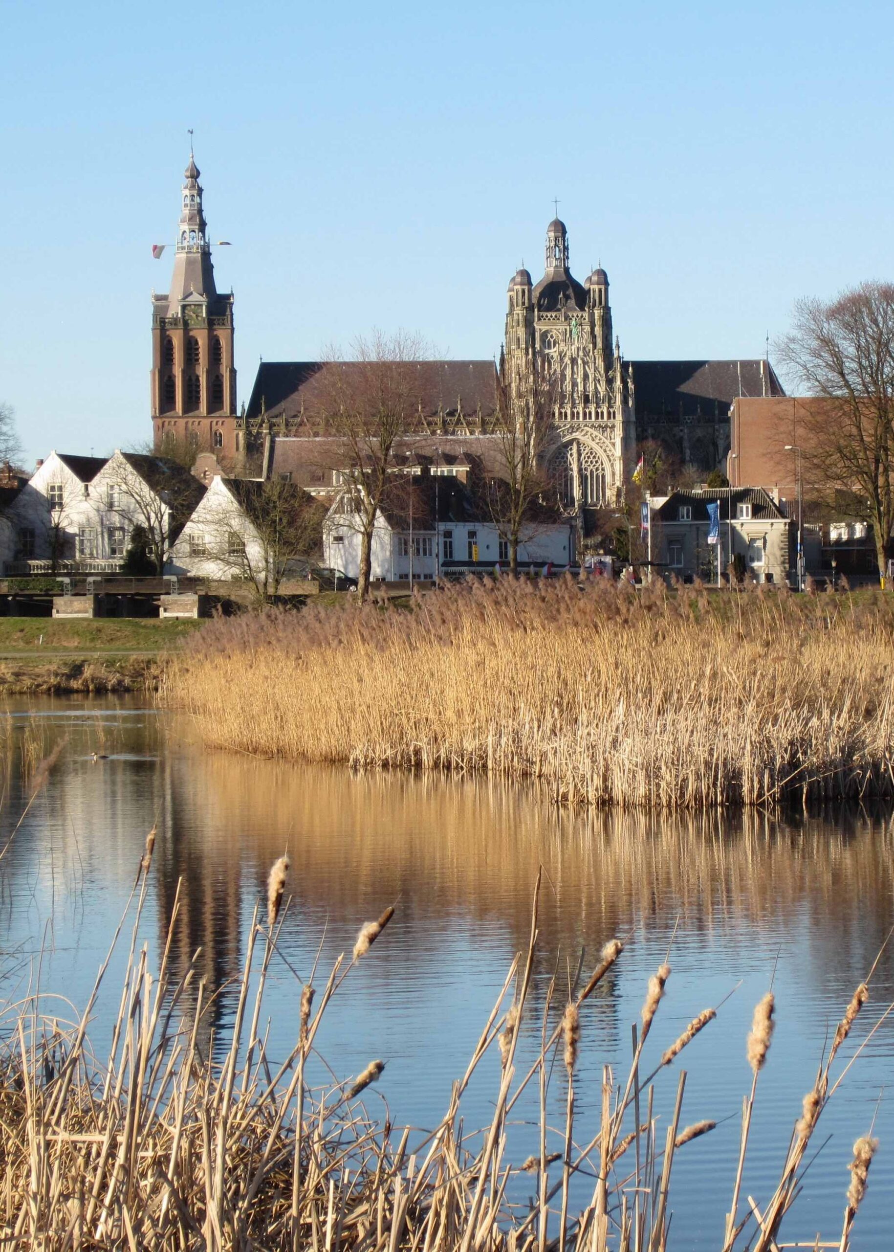 Buitenreclame in ‘s-Hertogenbosch | Outstanding Media